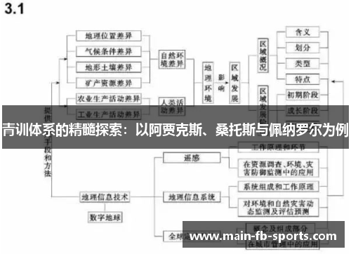 青训体系的精髓探索:以阿贾克斯、桑托斯与佩纳罗尔为例 青训体系的精髓探索:以阿贾克斯、桑托斯与佩纳罗尔为例