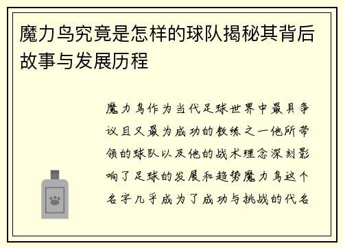 魔力鸟究竟是怎样的球队揭秘其背后故事与发展历程