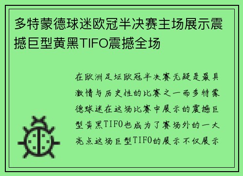 多特蒙德球迷欧冠半决赛主场展示震撼巨型黄黑TIFO震撼全场 多特蒙德球迷欧冠半决赛主场展示震撼巨型黄黑TIFO震撼全场